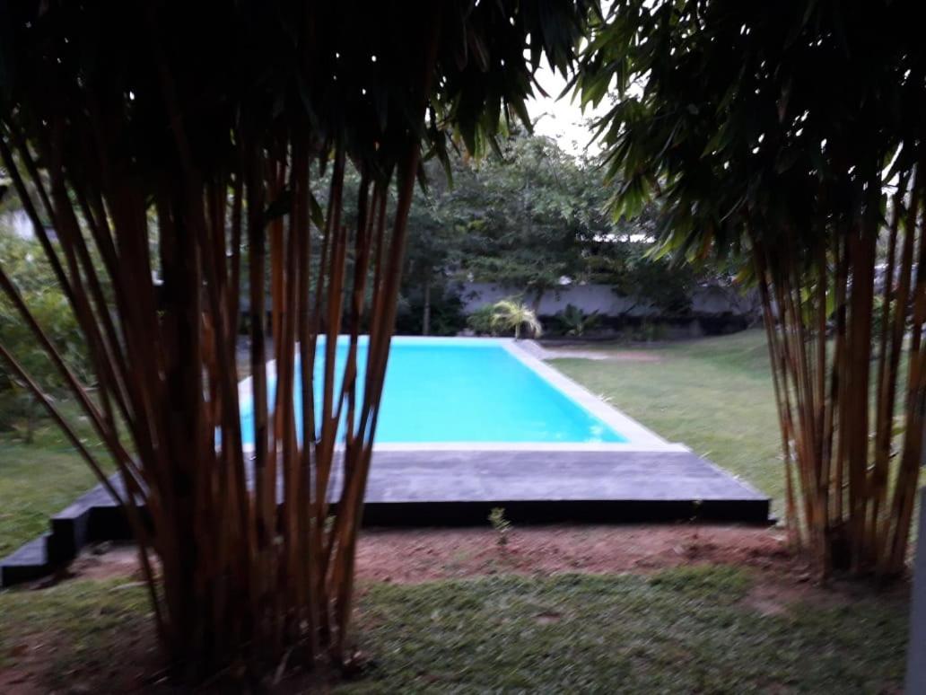 Kithula Boutique Hotel ヒッカドゥワ エクステリア 写真